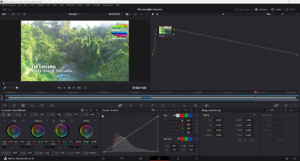 DaVinci Resolve Colour Grading