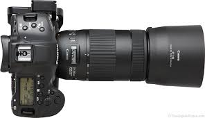 Canon with 300mm lens
