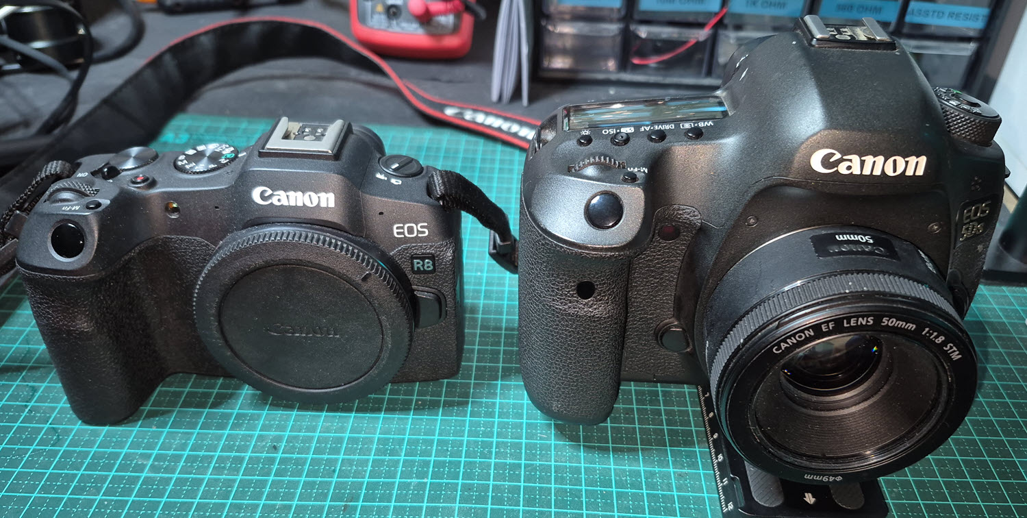 Canon EOS R8 v Canon EOS 5Ds