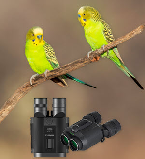 Fujinon Binoculars