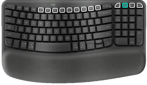Logitech Waves Keyboard