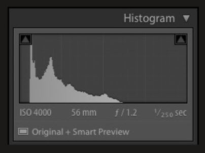 Histogram