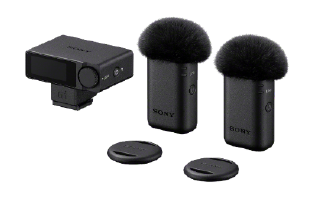 Sony ECM-W5